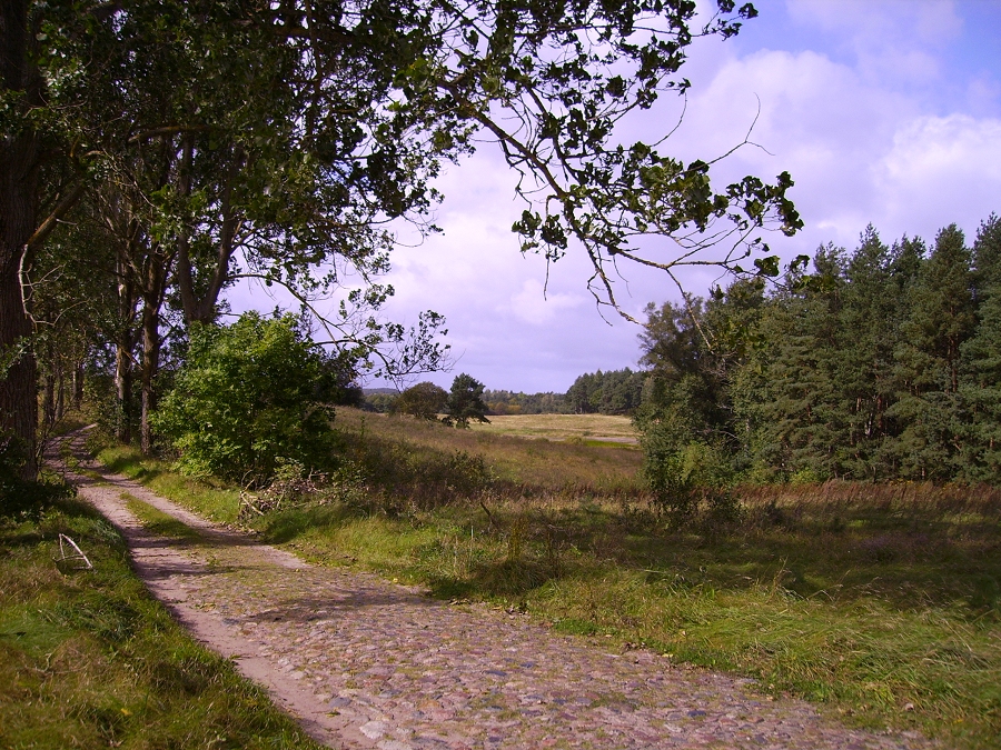 Landschaft Partnergemeinde Gmina Szczecinek